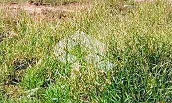 Imagem 6: Excelente terreno no bairro Brigadeira