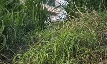 Imagem 3: Terreno de esquina !!! Documentado. 187,00m2 OPORTUNIDADE