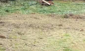 Imagem 2: Terreno no Maria Luiza