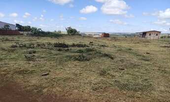 Imagem 4: Imperdível, chácaras no Daiana 1250m², 2500m e 5000m, plana, energia, 600m do asfalto, con