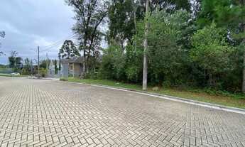 Imagem 2: Terreno - Bairro Carniel