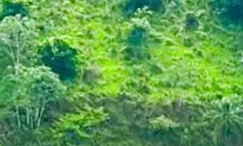 Imagem 4: SEU LOTE A 5 MINUTOS DO CENTRO