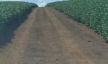 Imagem 3: Fazenda extra a venda no Goiás!!