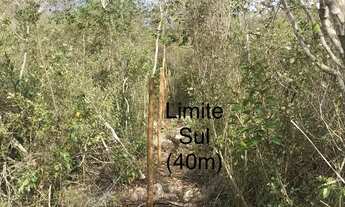 Imagem 5: Vale do Capão - Terreno