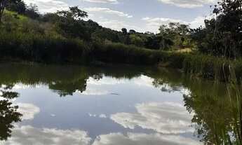 Imagem 7: Chácara para venda 6 alqueires em Zona Rural - Anicuns - GO