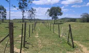 Imagem 6: Sitio a venda em São Vicente de paula - Araruama - RJ