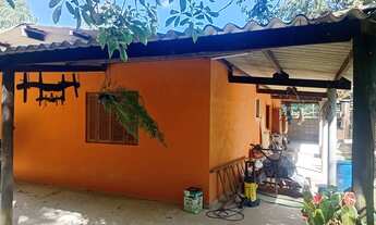 Imagem: Chacara plantio próximo ao centro palmital