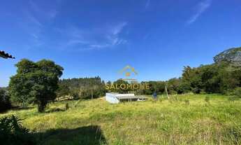 Imagem 3: Salomone vende 3 Hectares com Casa e ponto comercial