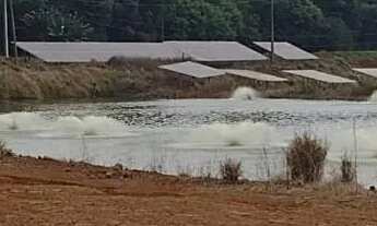 Imagem 4: Fazenda de Piscicultura