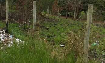 Imagem: 2 terrenos contínuos em lagoa do siri próximo