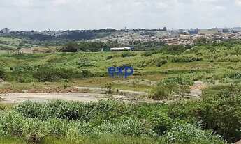 Imagem: Área Industrial com 172.000 m² na Rodovia