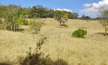 Imagem 3: Chácara para venda 6 alqueires em Zona Rural - Anicuns - GO