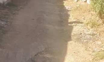 Imagem 3: Vendo terreno com duas casas no lote