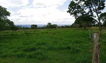 Imagem 5: Fazenda de 625 Hectares de Terras de Cultura e Cerrado Vermelho, Muita Madeira de Lei - Ri