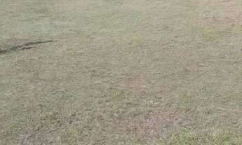 Imagem 3: CHÁCARA 3 HECTARES - OPORTUNIDADE