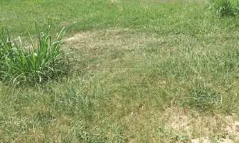 Imagem: Terreno Condomínio em Jacareí