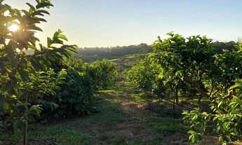 Imagem 4: CHACARA - REFORMA AGRÁRIA - SP