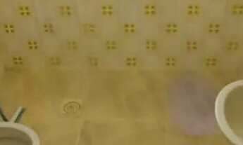 Imagem 4: Vende-se casa no Perequê