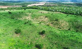 Imagem 2: Fazenda para Pecuária em Itapiratins