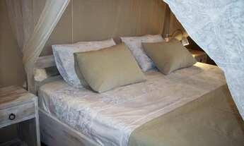 Imagem 2: Imóvel para venda com 440 metros quadrados em Centro - Jandaíra - BA