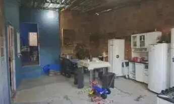 Imagem 5: Santa Etelvina - Manaus - AM