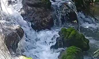 Imagem 7: Fazenda no municipio de Niquelandia perto da cerra da mesa