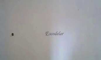 Imagem 6: Sala para alugar, 100 m² por R$ 3.300,00/mês - Vila Guilherme - São Paulo/SP