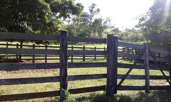 Imagem 6: Sítio para gado regiâo de marilia e Echaporã