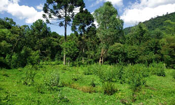 Imagem 4: Belíssimo Sítio entre Rio Rufino e Urubici
