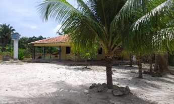 Imagem 3: Vendo ótimo sítio no Parque Araçagy - Área total com 6945 m² - São Luis - Ma