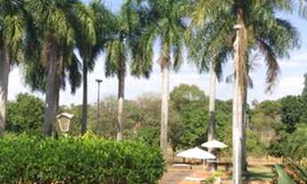 Imagem 6: Vende-se chácara no terras de São Lucas