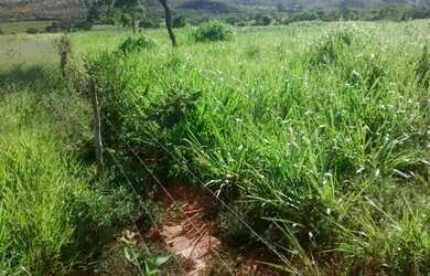 Imagem 5: Fazenda Fazenda / sítio com venda por R$8.000