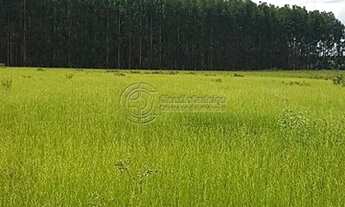 Imagem 5: Fazenda à venda no bairro Área Rural de Unaí - Unaí/MG