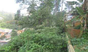 Imagem 2: Terreno para venda tem 300 metros quadrados 10x30 plano Quarta Divisão - Ribeirão Pires