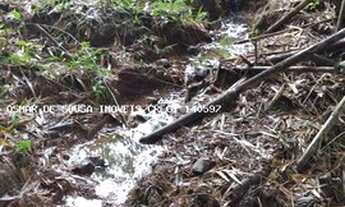 Imagem 6: Sítio de 02 alqueires em Tatuí - SP