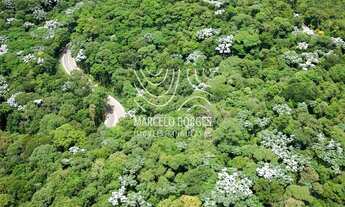 Imagem 3: EXCEPCIONAL LOTE 490M2 NO MELHOR RESIDENCIAL DE ALPHAVILLE/SP - GENESIS II