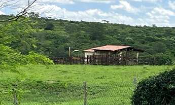 Imagem 6: Chácara Com 13 Hectares Á Venda Em Gravatá - PE