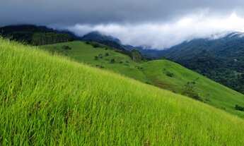 Imagem 7: Fazenda/Sítio/Chácara para venda possui 169400 metros quadrados com 5 quartos