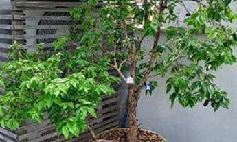 Imagem 5: Casa à Venda 246m² Espaço Gourmet Alto Padrão - 3 vagas - Moderna Rica em Armários e Acaba