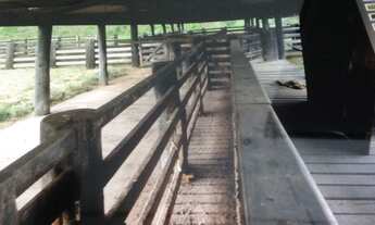 Imagem 7: FAZENDA VALE DO BOI APTDÃO PECUARIA