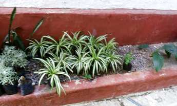 Imagem 4: Casa com 3 quartos 650 na bela vista em Vitória-PE