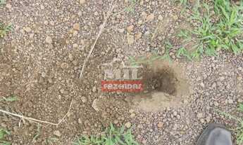 Imagem 5: Fazenda no Centro Sul do Tocantins. > 370 Alq. (1.790 Há) Já em Lavoura