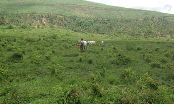 Imagem 3: Fazenda/Sítio/Chácara para venda com 62 hectares Escriturados (70 Hect Total) em Pombos-PE