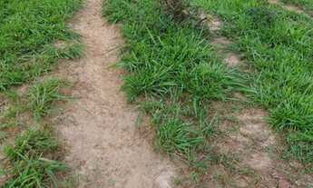 Imagem 7: Marcelo paredao 001