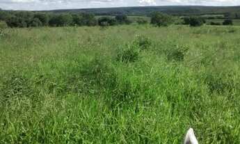 Imagem 7: Fazenda Fazenda / sítio com venda por R$8.000