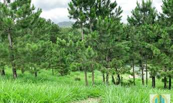 Imagem 2: Terreno à Venda - Santana de Parnaíba/SP