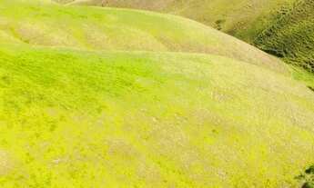 Imagem 2: Terreno 10 alqueires com vista para Pedra à venda em Pedra Azul - Domingos Martins/ES