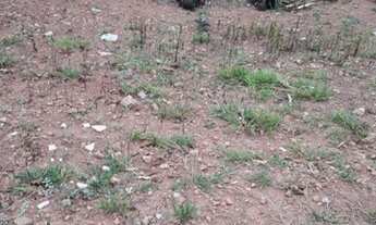 Imagem 3: Lote à venda, Marimbá - Betim/MG