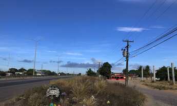 Imagem 2: Terreno Comercial na BR 304