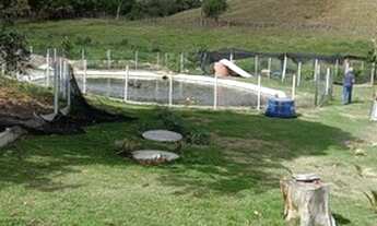 Imagem 6: Tanguá - Área Rural - Excelente para produção